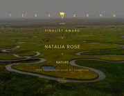 FINALIST AWARD in the "2nd NATURE" juried art competition 